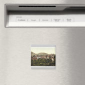 Aimant Goslar et Georgenberg, Hartz, Allemagne classique (In Situ (Lave-vaisselle))