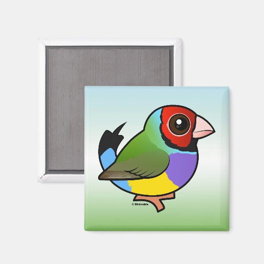 Aimant Gouldian Finch (Recto/Verso)