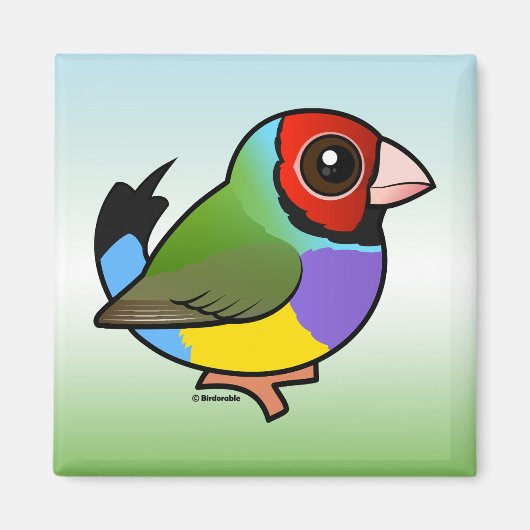 Aimant Gouldian Finch (Devant)