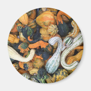 Aimant Gourdes d'automne