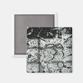 Aimant gouttes d'eau (Recto/Verso)
