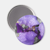 Aimant gouttes d'eau sur iris (Recto/Verso)