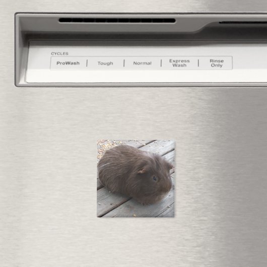 aimant GP (In Situ (Lave-vaisselle))