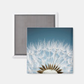 Aimant Graines de Dandelion (Recto/Verso)