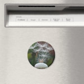 Aimant Graines de pissenlit délicates (In Situ (Lave-vaisselle))
