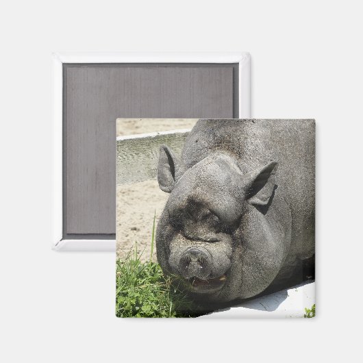 Aimant Graisse | Agriculture (Recto/Verso)