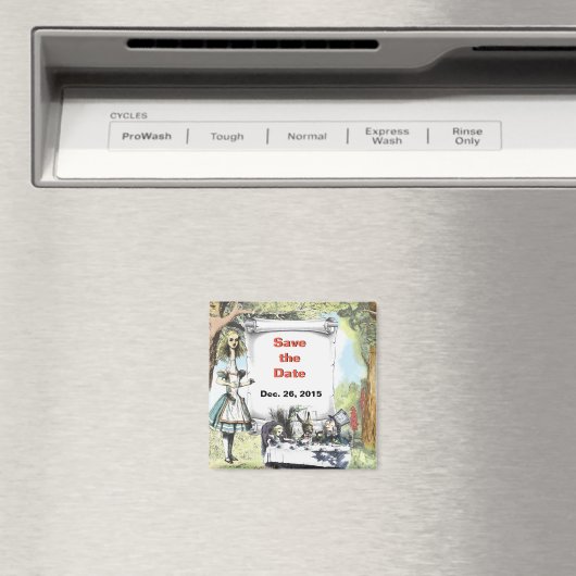 Aimant Grand Alice 1 Sauvegarde de la date (In Situ (Lave-vaisselle))