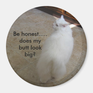 Aimant Grand bout ? - Aucun chat de queue