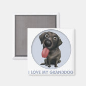 Aimant Grand-chien de Labrador Retriever (Noir) (Recto/Verso)