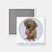 Aimant Grand-chien du Labrador Retriever (chocolat) (Recto/Verso)