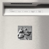 AIMANT GRAND DANE (In Situ (Lave-vaisselle))
