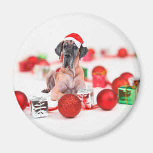 Aimant Grand Danois avec ornements de Noël Cadeaux