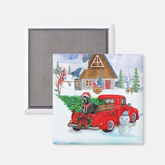 Aimant Grand Danois Chien En Livraison De Noël Camion Nei (Recto/Verso)