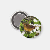 Aimant Grand Fritillaire en éperon sur le Laurel de monta (Recto/Verso)