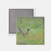 Aimant Grand Géocoucou, Geococcyx (Recto/Verso)