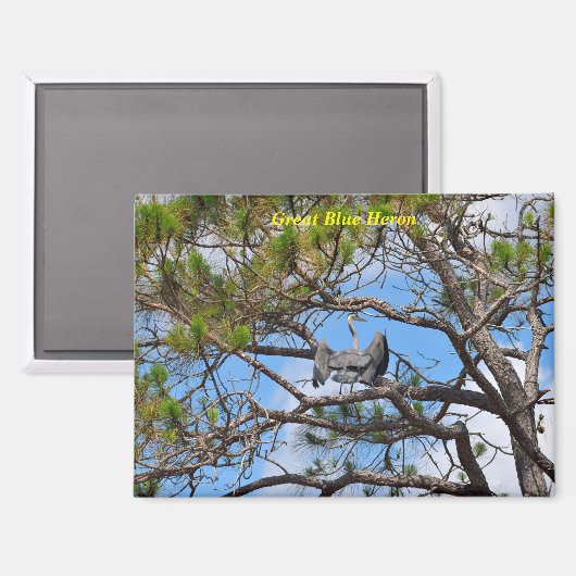 Aimant Grand héron bleu (Recto/Verso)