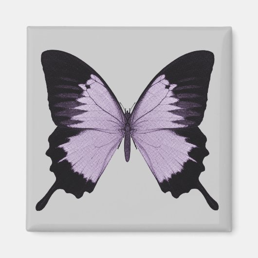 Aimant Grand papillon violet et noir (Devant)