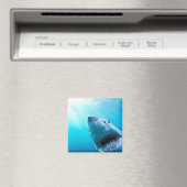 Aimant Grand requin blanc | Afrique du Sud (In Situ (Lave-vaisselle))