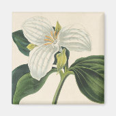 Aimant Grand Trillium Fleuri (Devant)