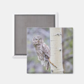 Aimant Grande branche de tremble gris (Recto/Verso)
