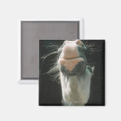 Aimant Grande-Bretagne (Recto/Verso)