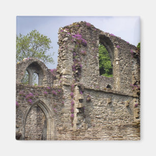 Aimant Grande-Bretagne, Royaume-Uni, Écosse. Ruines 2