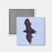 Aimant Grande chauve-souris volante (Recto/Verso)