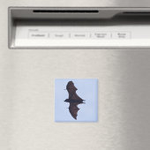 Aimant Grande chauve-souris volante (In Situ (Lave-vaisselle))