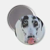 Aimant Grande Danse - Arlequin - Ma Langue Touche Mon Nez (Recto/Verso)