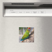 Aimant Grande macaw verte sur un arbre (In Situ (Lave-vaisselle))