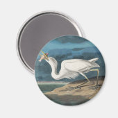 Aimant Grande Peinture de la faune d'Audubon Heron blanc (Recto/Verso)