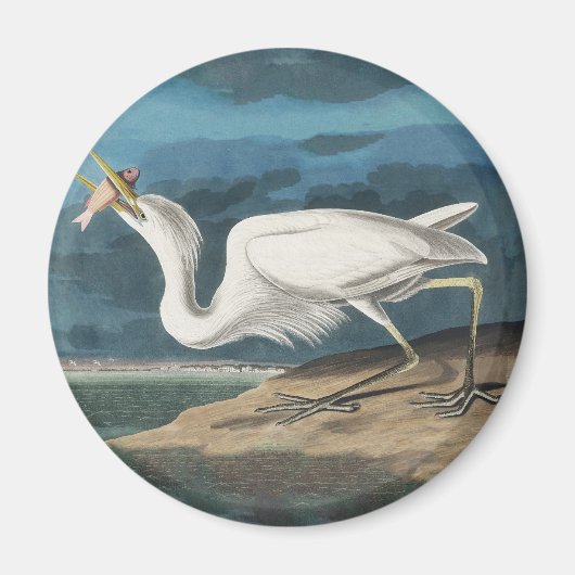 Aimant Grande Peinture de la faune d'Audubon Heron blanc (Devant)