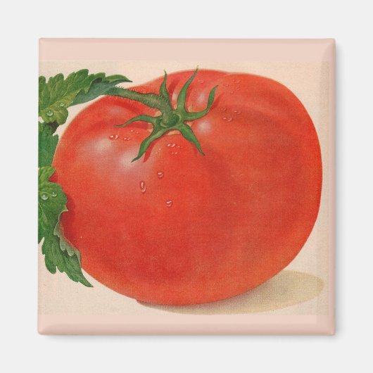 Aimant grande tomate juteuse BIG (Devant)