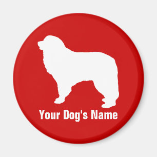 Aimant Grands Pyrénées グ レ ー ・ ニ レ ー ズ