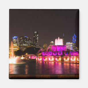 Aimant Grant Park Chicago