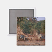 Aimant Grant Zebra 5 (Recto/Verso)