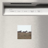 Aimant Grant Zebra 7 (In Situ (Lave-vaisselle))