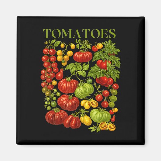 Aimant Graphisme de tomate vintage été rétro légume (Devant)