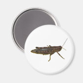 Aimant Grasshopper (Recto/Verso)