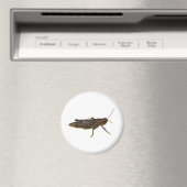 Aimant Grasshopper (In Situ (Lave-vaisselle))