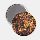 Aimant Grasshopper frit (Takkataen Thot) Alimentation asi (Recto/Verso)