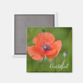 Aimant Gratitude Red Poppy (Recto/Verso)
