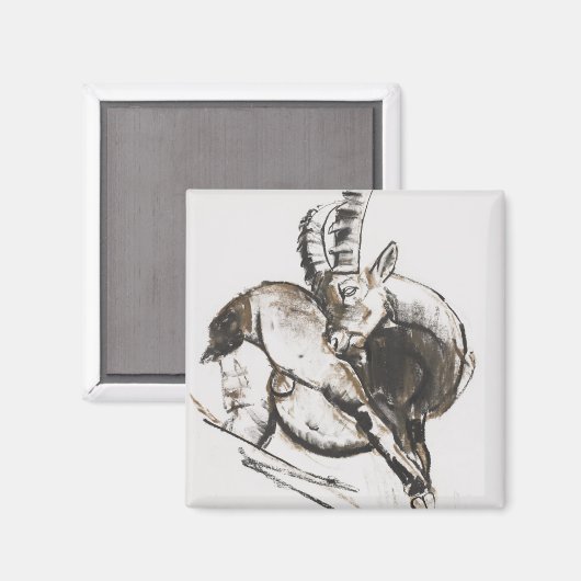 Aimant Grattarsi (Recto/Verso)