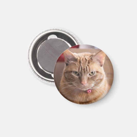 Aimant Grave (Recto/Verso)