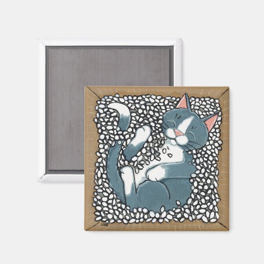 Aimant Gray Tuxedo Chat couchage dans la boîte d'emballag (Recto/Verso)