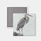 Aimant Great Blue Heron (Recto/Verso)