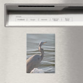 Aimant Great Blue Heron by the Water (In Situ (Lave-vaisselle))