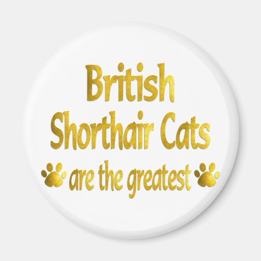 Aimant Great British Shorthair (Devant)