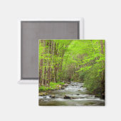 Aimant Great Smoky Mountains National Park Caroline du No (Recto/Verso)