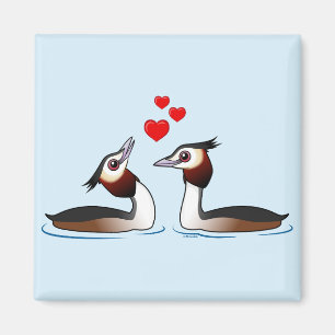 Aimant Grèbes en amour